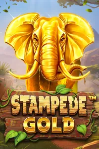 Stampede Gold